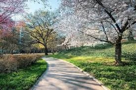 Spring in Georgia 2026: The Ultimate Guide for Travelers
