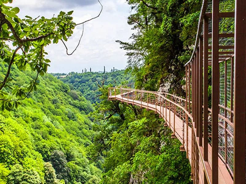 Forest & Canyon Tours